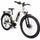 E-BIKE SQUAD YT500/1007, INC. BATERIA, CARGADOR Y LLAVES BLANCO CityBikes